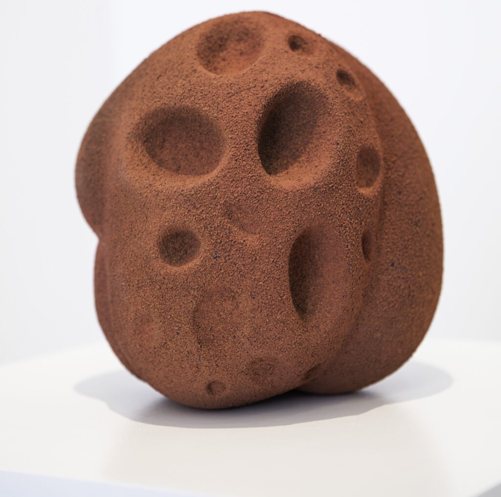 Nani-Silveira-e-Carlos-Januario.-Organoides-Bios-II - 2025 - escultura-em-porcelana-e-pigmentos-18-x-20-x-22-cm.-Credito - -Marcelo-Almeida