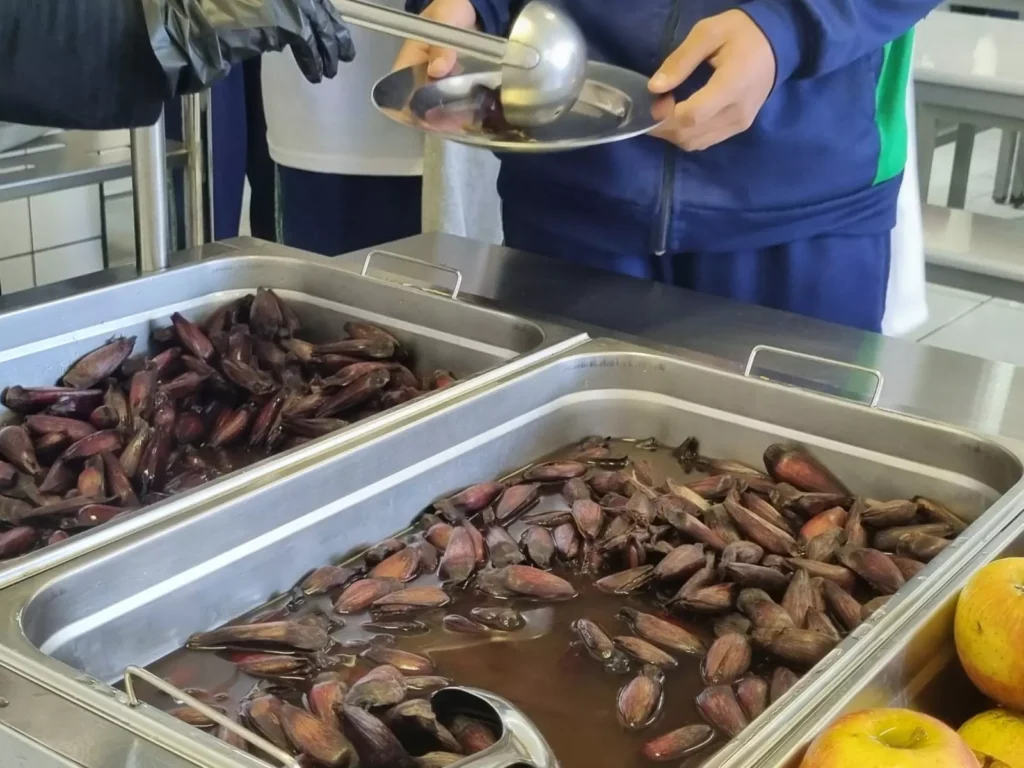 fundepar-merenda-parana