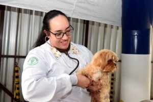em-um-mes,-vet-movel-registra-32,3-mil-agendamentos-e-avanca-para-mais-cidades-do-parana
