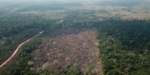 amazonia-registra-queda-de-35%-nos-alertas-de-desmatamento-em-junho