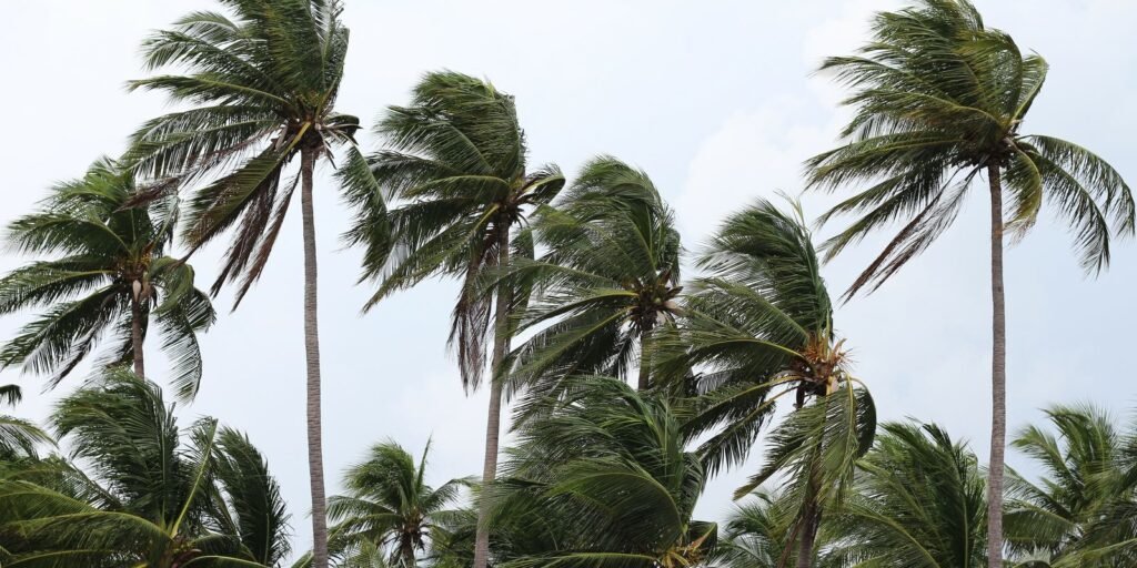 ventos-provocam-danos-na-costa-verde-e-na-regiao-serrana-do-rj
