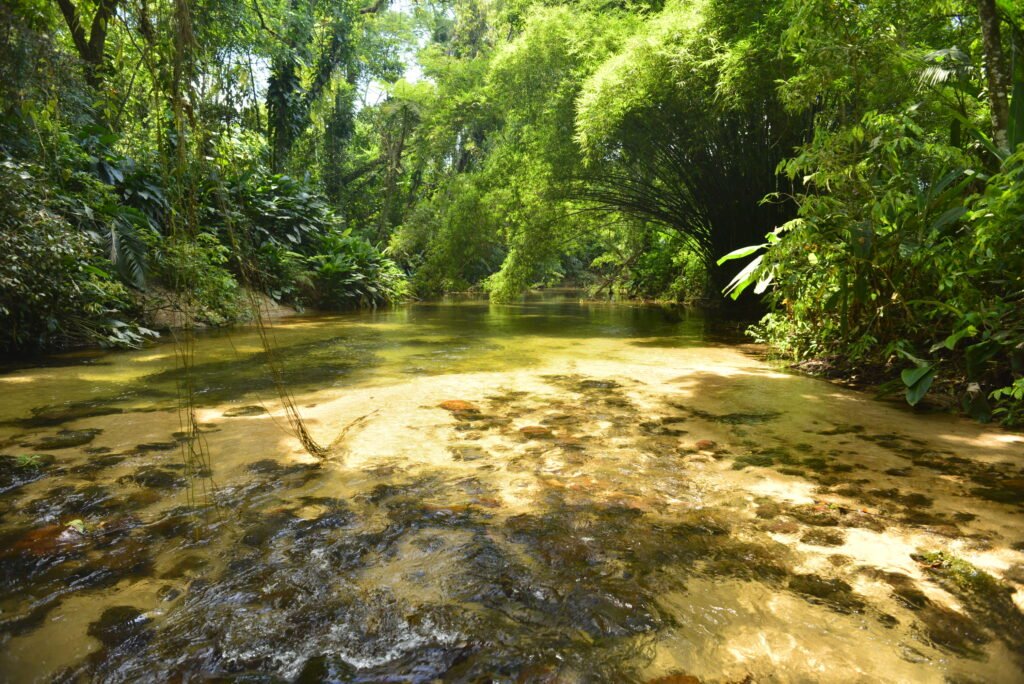 Rio-Cambara