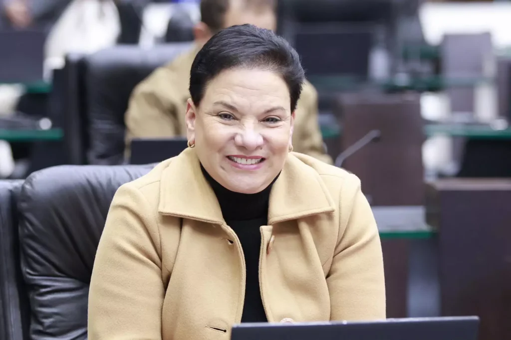 Marli Paulino conquista aprovação do Dia da Cultura Coreana no Paraná
