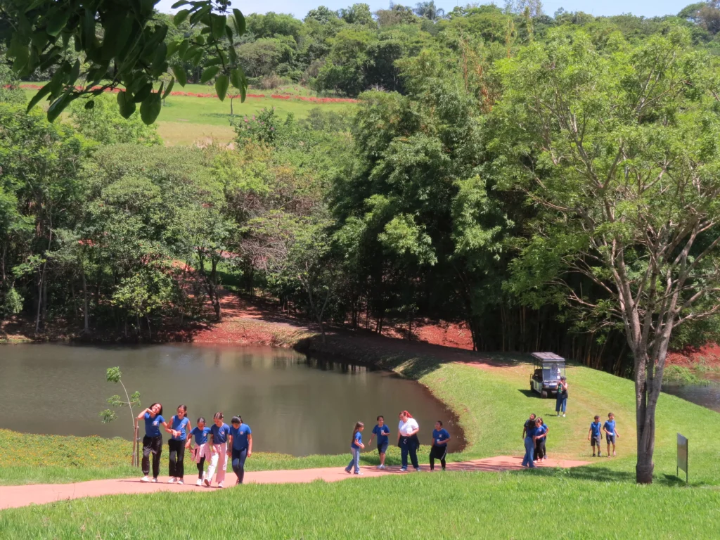 Divulgação Imagens do P_Arte, em Ibiporã (PR)