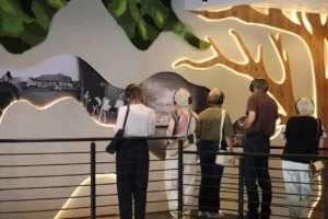 Exposição “A Grande Árvore da Memória”