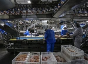 parana-retira-carnes-de-aves-cozidas-da-st-e-aumenta-competitividade-do-setor