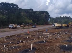 prc-466-tera-detonacao-de-rochas-entre-turvo-e-palmeirinha-nesta-quinta-feira