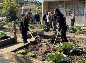hortas-nutrem-novos-saberes-e-escolhas-saudaveis-nas-escolas-estaduais-do-parana