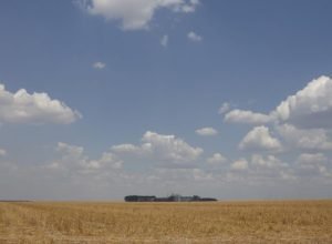 fronteira-cerrado:-desenvolvimento-e-destruicao-no-agronegocio