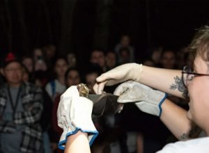 noite-dos-morcegos:-uem-promove-trilha-no-parque-do-inga-que-une-ciencia-e-aventura
