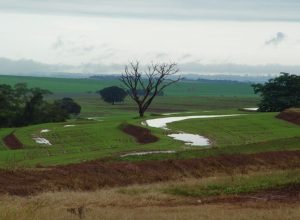 estado-apoia-reivindicacoes-para-amortizar-dividas-de-produtores-apos-temporais