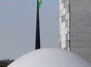apos-conducao-coercitiva,-ex-coordenador-do-inss-depoe-na-cpmi
