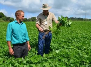 idr-parana-divulga-resultado-final-do-pss-com-173-novos-profissionais-para-reforcar-a-extensao-rural-e-pesquisa-no-estado