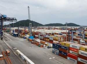 nove-produtos-paranaenses-tiveram-crescimento-superior-a-30%-nas-exportacoes-em-2025