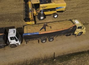 parana-tem-maior-aumento-do-pais-na-estimativa-de-producao-de-graos-em-novembro