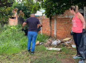 vai-viajar?-saude-alerta-sobre-cuidados-para-evitar-a-dengue-em-casa-e-no-local-de-destino