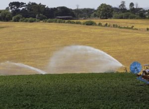 brde-injeta-r$-133,4-milhoes-no-desenvolvimento-e-sustentabilidade-no-campo-em-2025