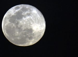 primeira-superlua-de-2026-pode-ser-vista-neste-sabado-(03)