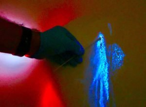 luminol-reforca-atuacao-da-policia-cientifica-do-parana-a-identificar-vestigios-ocultos