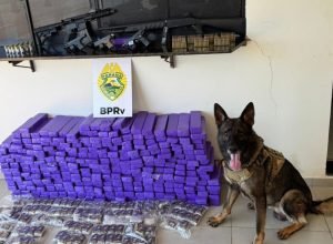 pmpr-apreende-210-quilos-de-drogas,-fuzil-e-quatro-armas-em-abordagem-em-ipora
