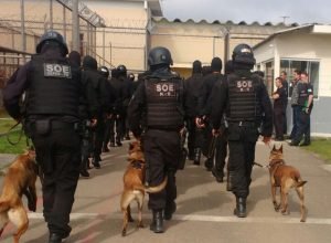 preparo-e-tecnologia:-setor-de-operacoes-especiais-da-policia-penal-completa-12-anos