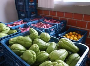 aparencia-x-qualidade:-estado-reforca-orientacoes-para-evitar-desperdicio-de-alimentos