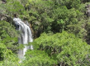 estado-divulga-relacao-final-de-reservas-naturais-do-edital-de-creditos-de-biodiversidade