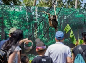 best-of-the-best:-com-foz-do-iguacu,-parana-marca-presenca-em-premiacao-internacional