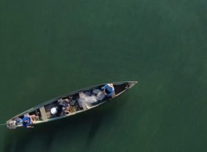 ministerio-da-pesca-cancela-mais-de-76-mil-licencas-de-pescadores
