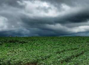 tempestades-atingem-campos-gerais-e-norte-do-parana-e-seguem-em-direcao-ao-leste