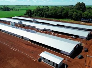 governo-do-estado-e-mbrf-anunciam-r$-375-milhoes-para-fortalecer-producao-de-alimentos