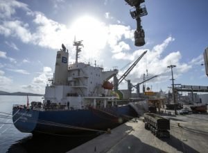 portos-registram-salto-superior-a-300%-na-movimentacao-de-cevada-e-malte-no-parana