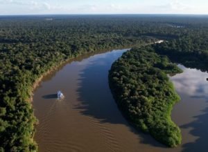 fundo-amazonia-vai-liberar-r$-53-milhoes-para-regularizar-terras-no-ma