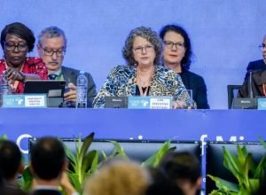 campo-grande-sedia-conferencia-da-onu-sobre-especies-migratorias