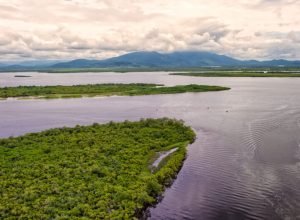 comites-de-bacias-hidrograficas-do-parana-discutem-gestao-da-agua-na-proxima-semana