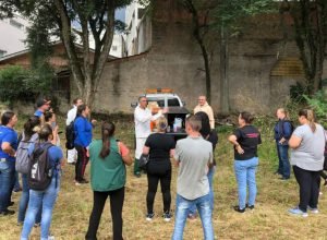 casos-e-mortes-por-dengue-no-parana-caem-mais-de-96%-nos-primeiros-meses-de-2026