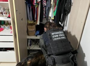 pcpr-cumpre-13-mandados-contra-organizacao-criminosa-ligada-ao-trafico-na-rmc