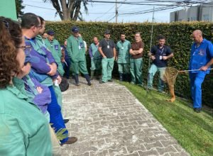 adapar-promove-treinamento-para-controle-de-zoonoses-em-animais-de-producao