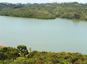 cbh-alto-ivai-promove-encontro-em-lidianopolis-para-motivar-a-educacao-ambiental