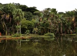 viva-maria-discute-o-papel-do-jornalismo-na-preservacao-ambiental