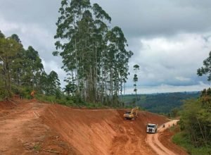 pr-092-em-doutor-ulysses-sera-interditada-devido-a-risco-de-deslizamento-de-terra