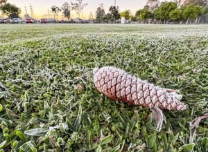 sinais-de-inverno:-maio-tera-frentes-frias,-geada-e-temperaturas-abaixo-de-10°c