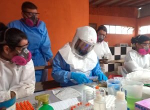parana-mantem-vigilancia-rigorosa-contra-hantavirose
