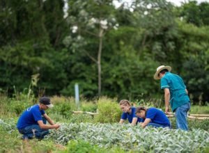 programa-que-aproxima-colegios-agricolas-de-universidades-vai-receber-r$-3,4-milhoes