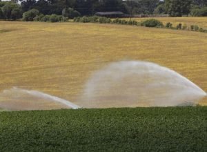 icms-zero:-parana-prorroga-isencao-para-produtos-agropecuarios-ate-2026