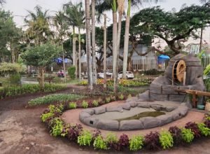 fazendinha-da-expoinga-aproxima-publico-urbano-da-producao-agricola