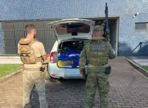 pmpr-e-pf-interceptam-veiculo-com-quase-200-quilos-de-maconha-em-terra-roxa