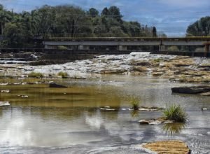 gestao-da-agua:-cbhs-rio-jordao-e-rio-tibagi-tem-reunioes-na-proxima-semana