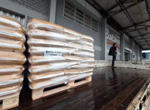 parceria-entre-iat-e-frisia-vai-ampliar-estrategias-de-manejo-de-javalis-em-parques-estaduais