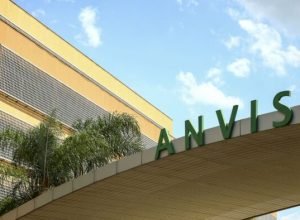 anvisa-apreende-canetas-emagrecedoras-sem-identificacao-de-fabricante